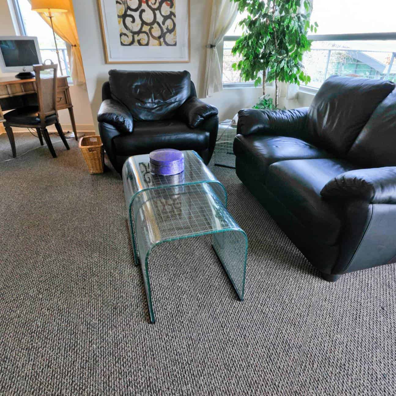 A living room with black leather chairs, a glass coffee table holding a purple container, a leafy plant, a decorative framed picture on the wall, and a window admitting natural light.