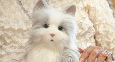 MPTF_Web_Media_Cat_30U_REV Cats The Spirit of Edith Head